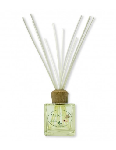 Mikado Melón 100ml