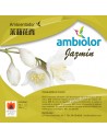 Ambiolor Jazmín