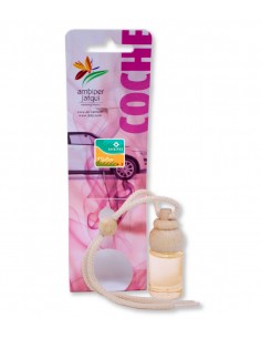 Ambicar Coche Melón 7ml